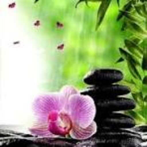 Ausbildung zum Coach der Kunsttherapie