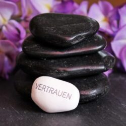 Berufs-Ausbildung Privatdetektiv/in